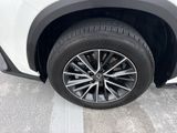 Used 2025 Lexus NX SUV