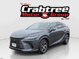 Used 2025 Lexus RX SUV