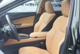 Used 2022 Lexus NX SUV