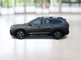 Ascent Limited 8 Passenger