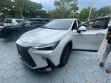 Used 2024 Lexus NX SUV