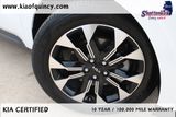Used 2024 Kia Carnival Van