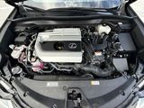 Used 2023 Lexus UX SUV