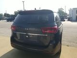 Used 2019 Kia Sedona Van
