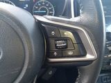 Ascent Limited 8 Passenger