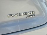 Used 2025 Lexus RX SUV