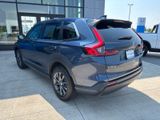 Used 2026 Honda CR-V SUV