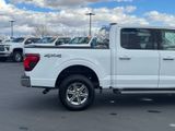 Used 2024 Ford F-150 Truck