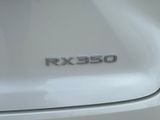 Used 2026 Lexus RX SUV