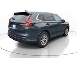 Used 2023 Honda CR-V SUV