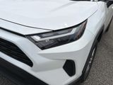 Used 2025 Toyota RAV4 SUV