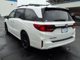 New 2026 Honda Odyssey Van