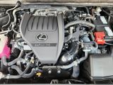 Used 2024 Lexus RX SUV