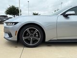 Used 2024 Ford Mustang Coupe