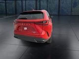 Used 2025 Lexus NX SUV