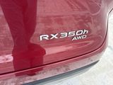Used 2025 Lexus RX SUV