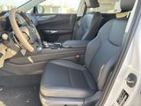 Used 2025 Lexus NX SUV