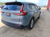 Used 2025 Honda CR-V SUV