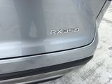 Used 2024 Lexus RX SUV