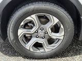 Used 2019 Honda CR-V SUV
