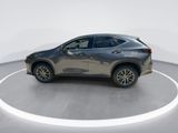 Used 2023 Lexus NX SUV