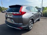 Used 2019 Honda CR-V SUV