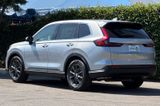 New 2026 Honda CR-V SUV