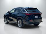 Used 2023 Lexus NX SUV
