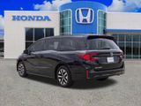New 2026 Honda Odyssey Van