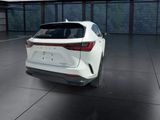 Used 2025 Lexus NX SUV
