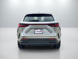 Used 2025 Lexus NX SUV