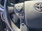 Used 2019 Toyota Tacoma Truck