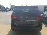 Used 2019 Kia Sedona Van