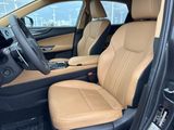 Used 2024 Lexus NX SUV