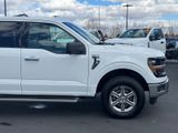 Used 2024 Ford F-150 Truck