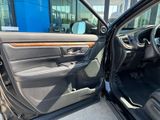 Used 2019 Honda CR-V SUV