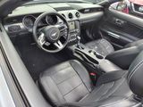 Used 2019 Ford Mustang Convertible