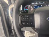 Used 2023 Ford F-150 Truck