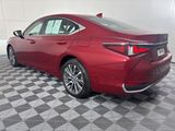 Used 2021 Lexus ES Sedan