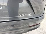 Used 2024 Lexus NX SUV