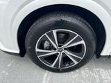 Used 2025 Lexus RX SUV