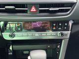 New 2026 Kia Seltos SUV