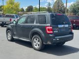 Used 2008 Ford Escape SUV