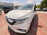 Used 2020 Honda Odyssey Van