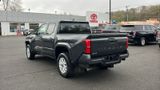 Used 2025 Toyota Tacoma Truck