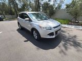 Used 2014 Ford Escape SUV