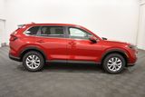 New 2026 Honda CR-V SUV