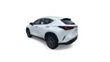 Used 2025 Lexus NX SUV