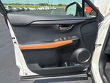 Used 2019 Lexus NX SUV