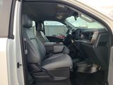 Used 2024 Ford F-150 Truck